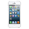 Apple iPhone 5 16Gb white - Махачкала